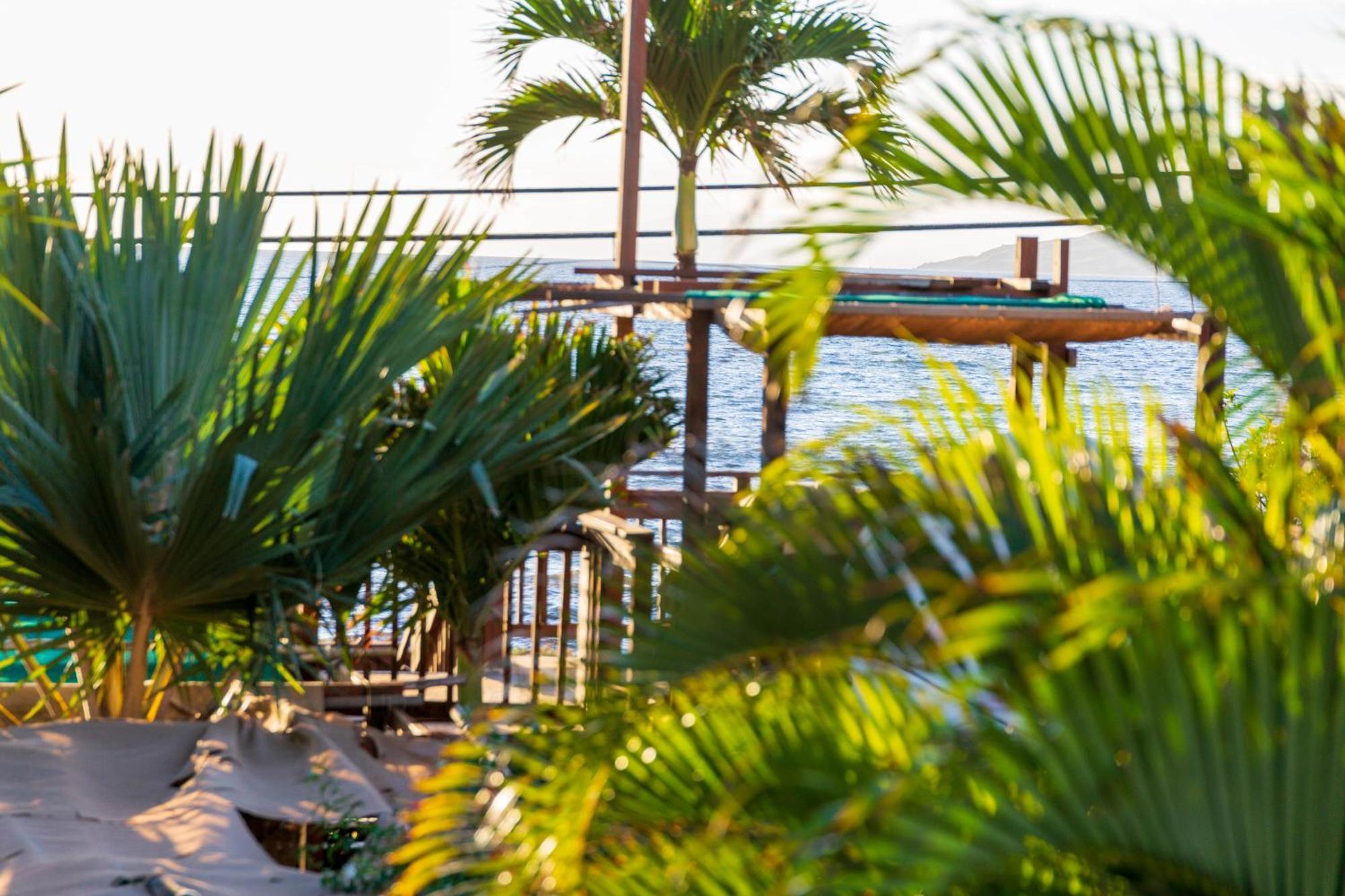 Bamboo Suite, 1 Bedroom, Sleeps 4, Pool & Bbq, Pre-Renovation Summer Sale Kihei Ngoại thất bức ảnh
