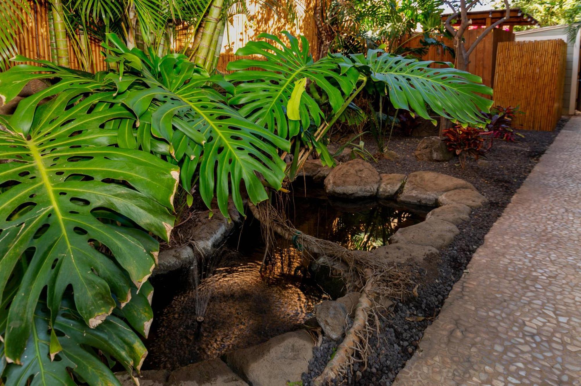 Bamboo Suite, 1 Bedroom, Sleeps 4, Pool & Bbq, Pre-Renovation Summer Sale Kihei Ngoại thất bức ảnh